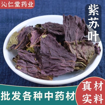 紫苏叶当季现货无梗中草药新鲜使用干紫泡水去腥可代发