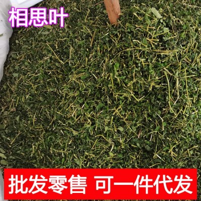 相思叶 新货鸡骨草茶鸡骨草叶相思叶茶相思藤茶产地批发