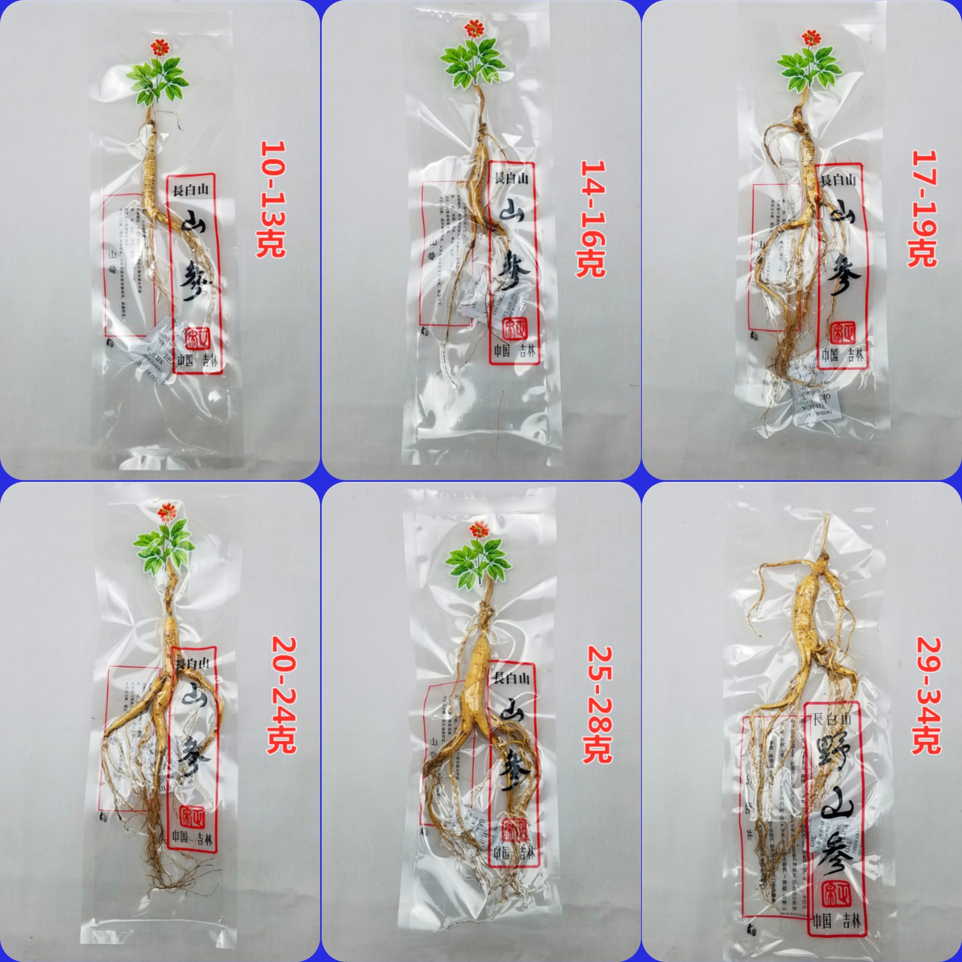 鹿班拼图-1280<i></i>x1280-202008310748_wp