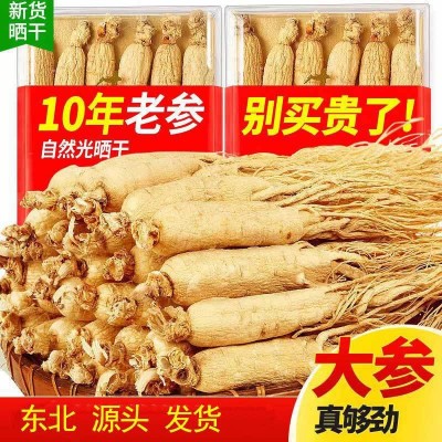 8-19年长白山批发中老年食用人参批发野山参白参农产品生晒参礼盒