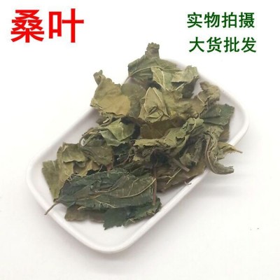 供应 中药材 青桑叶 用冬桑叶 桑叶