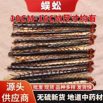 蜈蚣草中药材批发蜈蚣粉湖北百足虫厂家直销现货晾晒烘干蜈蚣干