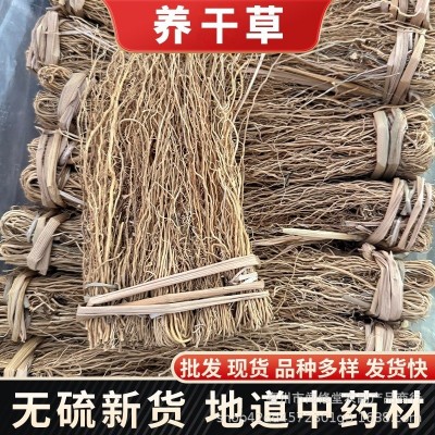 养干草 养gan草丝线根龙须草护干草金草龙须根开胃草产地货源一件
