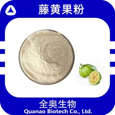 藤黄果提取物羟基柠檬酸(HCA)藤黄果酵素粉 藤黄果粉 罗望果粉