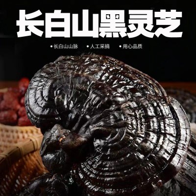 长白山灵芝东北赤灵芝平盖正宗黑芝泡水泡酒炖汤产地直销