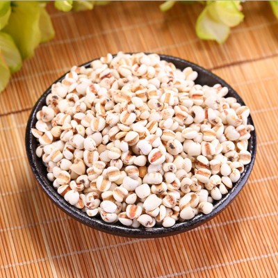 批发供应大薏米仁小薏米仁 薏苡仁98号95号薏米仁