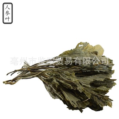 批发 人参叶 中药材散装长白山人参叶茶 原料 干人参叶粉原料A