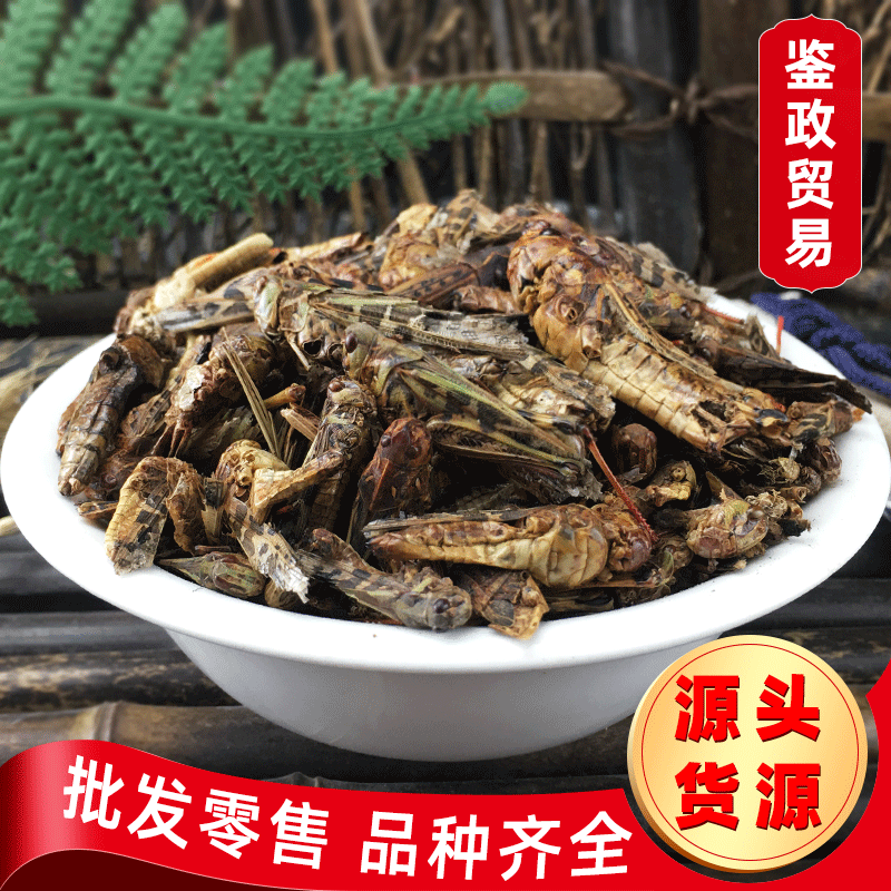 大货供应 蚂蚱 蚂蚱干 蚱蜢干农产品 蝗虫干 量大从优R