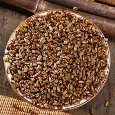 正品天然野生决明子新货中药材500g正宗生决明子散装草决明泡水喝