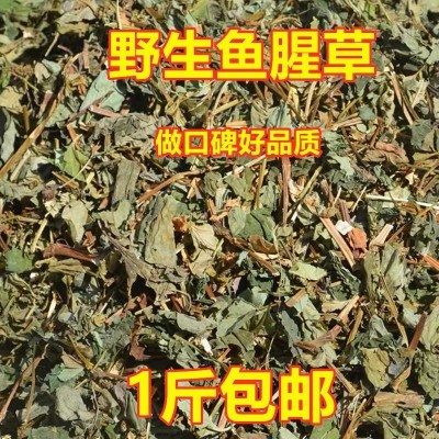 鱼腥草干新鲜鱼腥草茶折耳根大别山农家自晒鱼星草泡水500g