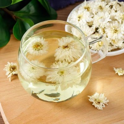 新货七月菊批发非贡菊太阳花苦菊大朵白菊花泡水喝苦味菊花茶干花