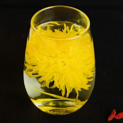 优选金丝皇菊菊花茶罐装花香花瓣清香饱满味道浓郁泡茶煮水代茶饮