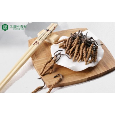 冬虫夏草 来电订货