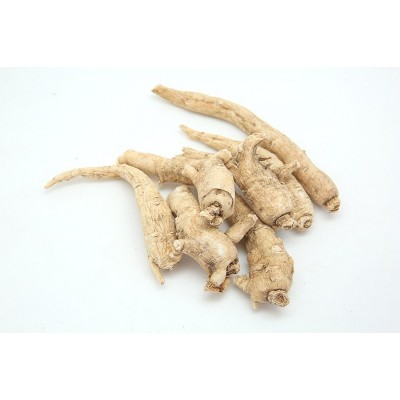 西洋参 欢迎询价