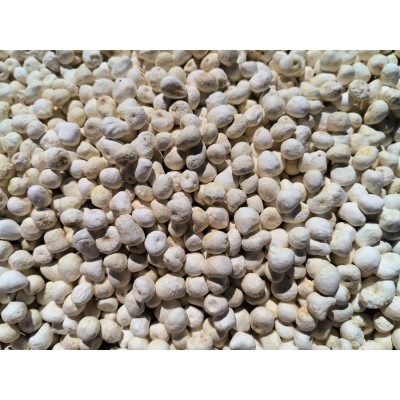 半夏 半夏种子批发