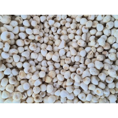 半夏 中药材源头批发自有厂家