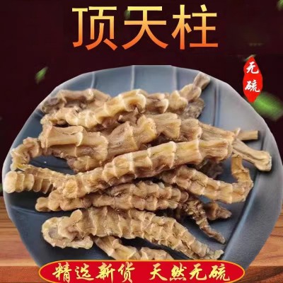 顶天柱 云南顶天柱虫草参不老草回阳草起阳草现货批发代发