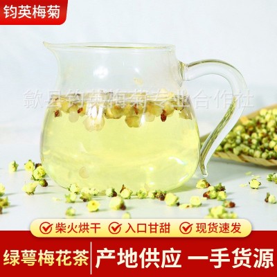 绿萼梅花茶新货白梅花散装直供黄山绿梅花干花泡茶批发代发