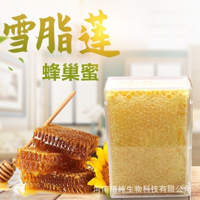 蜂巢蜜 雪脂莲蜂巢蜜 500g盒装 可以嚼着吃的蜂蜜