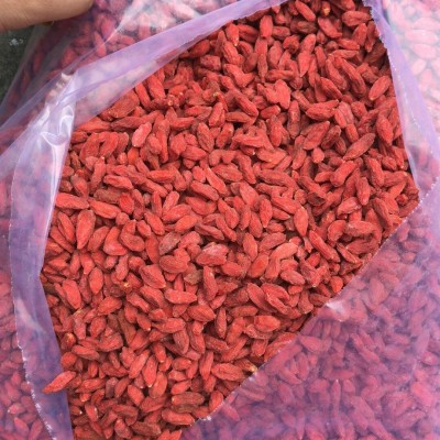 枸杞 精选宁夏大颗粒500g良心卖家 味甜干爽枸杞批发2025年新货