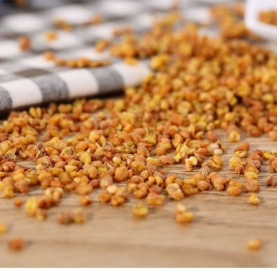 厂家直供半粒半膨黄苦荞茶 荞麦茶 散装苦荞批发 餐饮用茶 米香茶