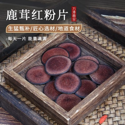 鹿茸片 红粉片梅花鹿鹿茸片煲汤泡酒过节送礼送长辈产地批发鹿茸