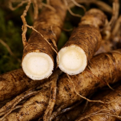 长白山新鲜人参批发煲汤2.5元鲜参