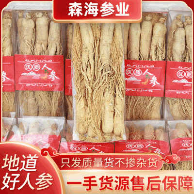 干人参泡酒专用500g人参打粉中药材五年白全须生晒参人参粉