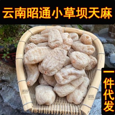 云南天麻昭通小草坝天麻中药材天麻片深山野天麻昭通天麻粉红天麻