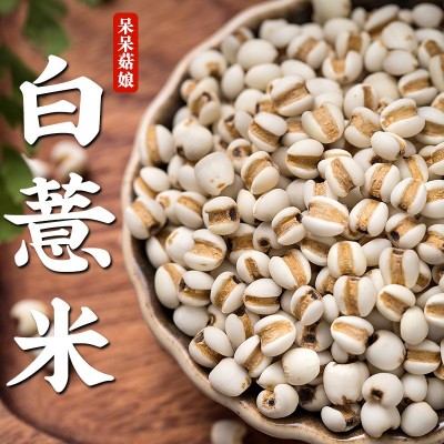 生白薏米新货厂家直发零售小粒薏米薏苡仁红豆薏米茶原料代发a