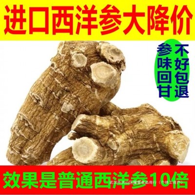 官方正品加拿大进口西洋参花旗参500克进口西洋参片西洋参粉包邮