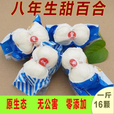 【包邮】兰州新鲜百合食用现挖野生甜百合滋补煲汤产地直供