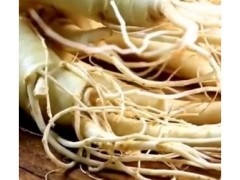 参类滋补品功效全解析：人参、西洋参、太子参、党参各有特色！