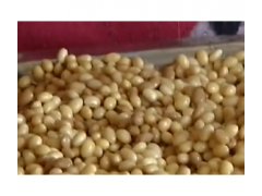 纳豆真有保健的功效吗？