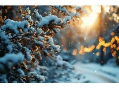 小雪时节如何改善寒冷引起的疲劳