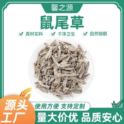 大叶鼠尾草干脱干脱水基地直供可按客户要求加工香薰香料鼠尾草