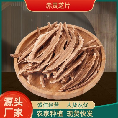 安徽金寨批发赤灵芝切片 非长白山灵芝手切灵芝片现货 500克包邮