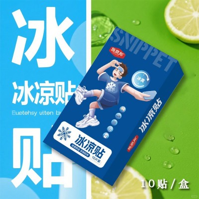 施奈邦冰凉贴10贴装降温降热军训夏季降温神器现货批发一件代发