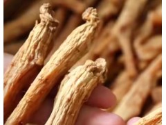 魅力中国之西洋参一株植物的故事 (174播放)