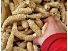 西洋参的使用和作用 (174播放)