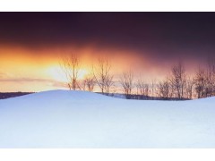 小寒解锁古法养生：冬日午后晒背养阳记