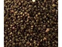 专家分享了三味中草药，可治疗弱视，有滋补肝肾的作用 (175播放)