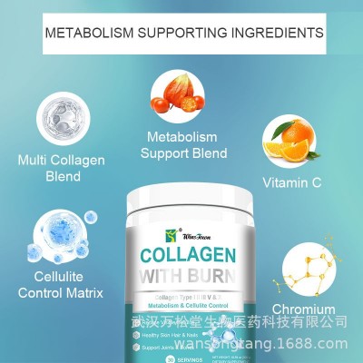 出口 Wholesale Hydrolyzed Collagen With Burn Peptide Powder