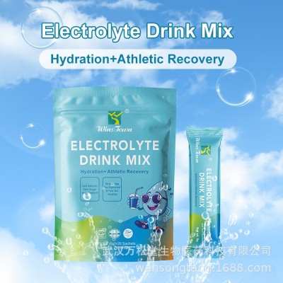 出口 Electrolyte Powder Sachet Packets Electrolyte Hydration