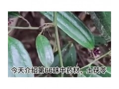 今天介绍第六十六味中药材，土茯苓 (346播放)