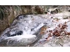 ​森林​​康养​​ 生态​​旅游​
